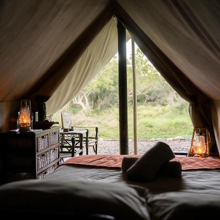 Quatermain's 1920's Safari Camp – Amakhala Game Reserve Bagian luar foto