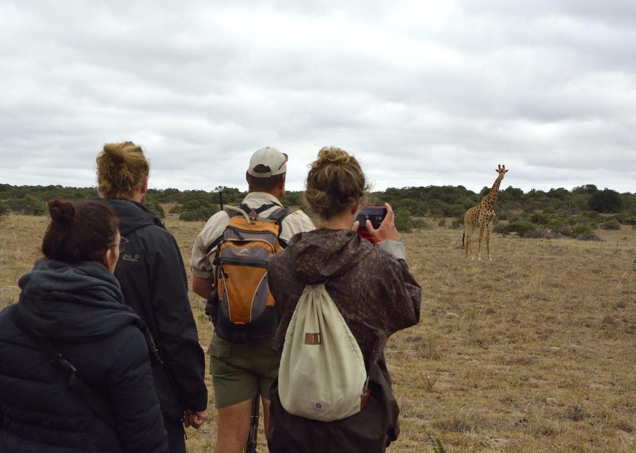 Quatermain's 1920's Safari Camp – Amakhala Game Reserve Bagian luar foto