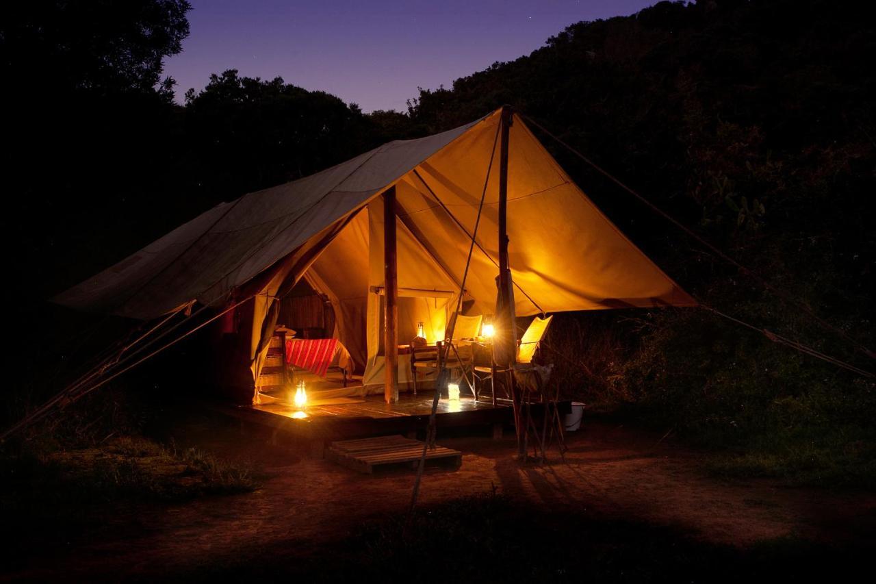 Quatermain's 1920's Safari Camp – Amakhala Game Reserve Bagian luar foto