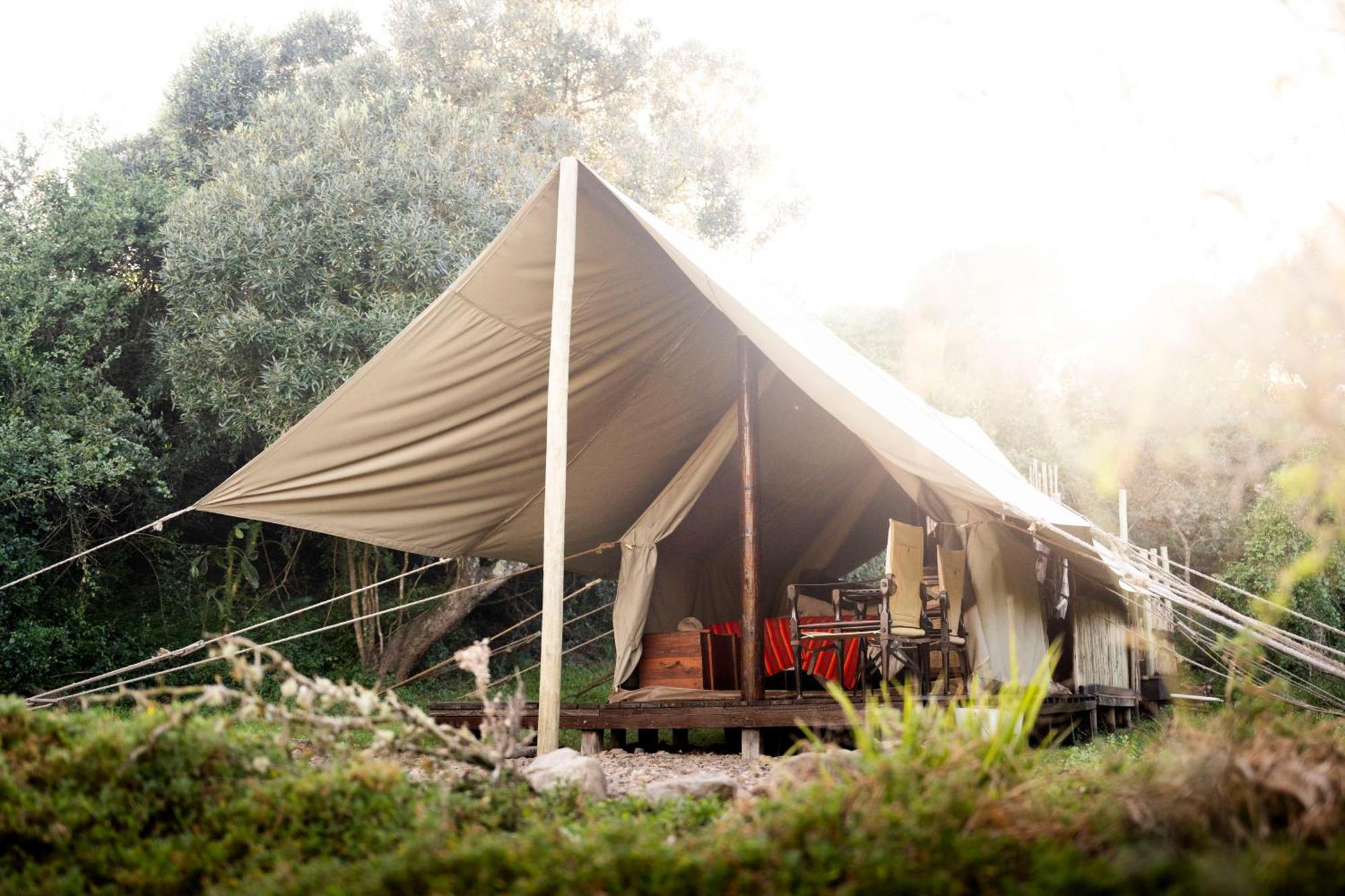 Quatermain's 1920's Safari Camp – Amakhala Game Reserve Bagian luar foto