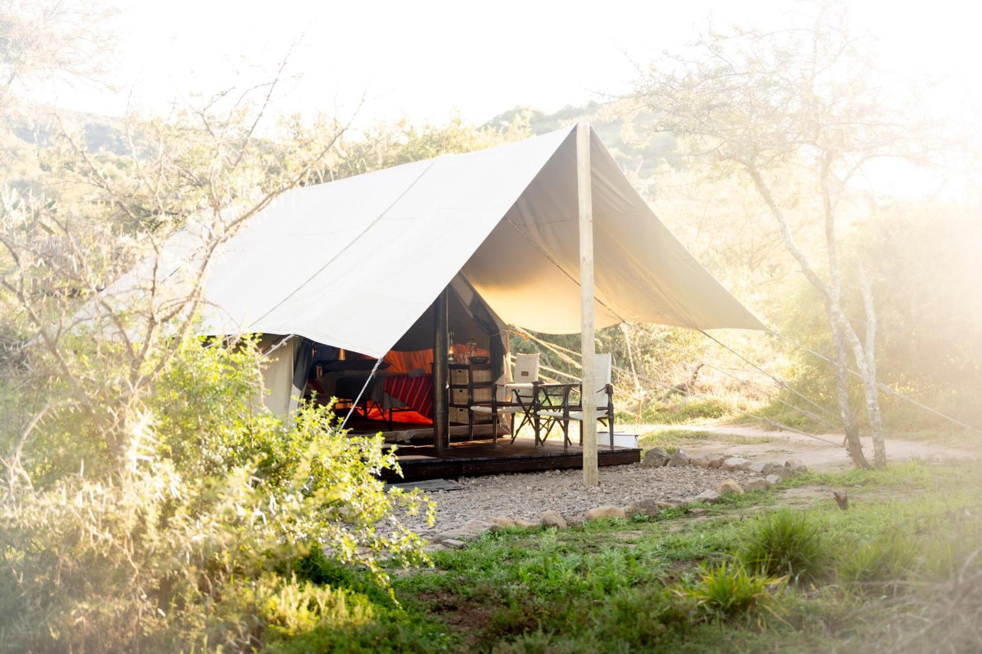 Quatermain's 1920's Safari Camp – Amakhala Game Reserve Bagian luar foto