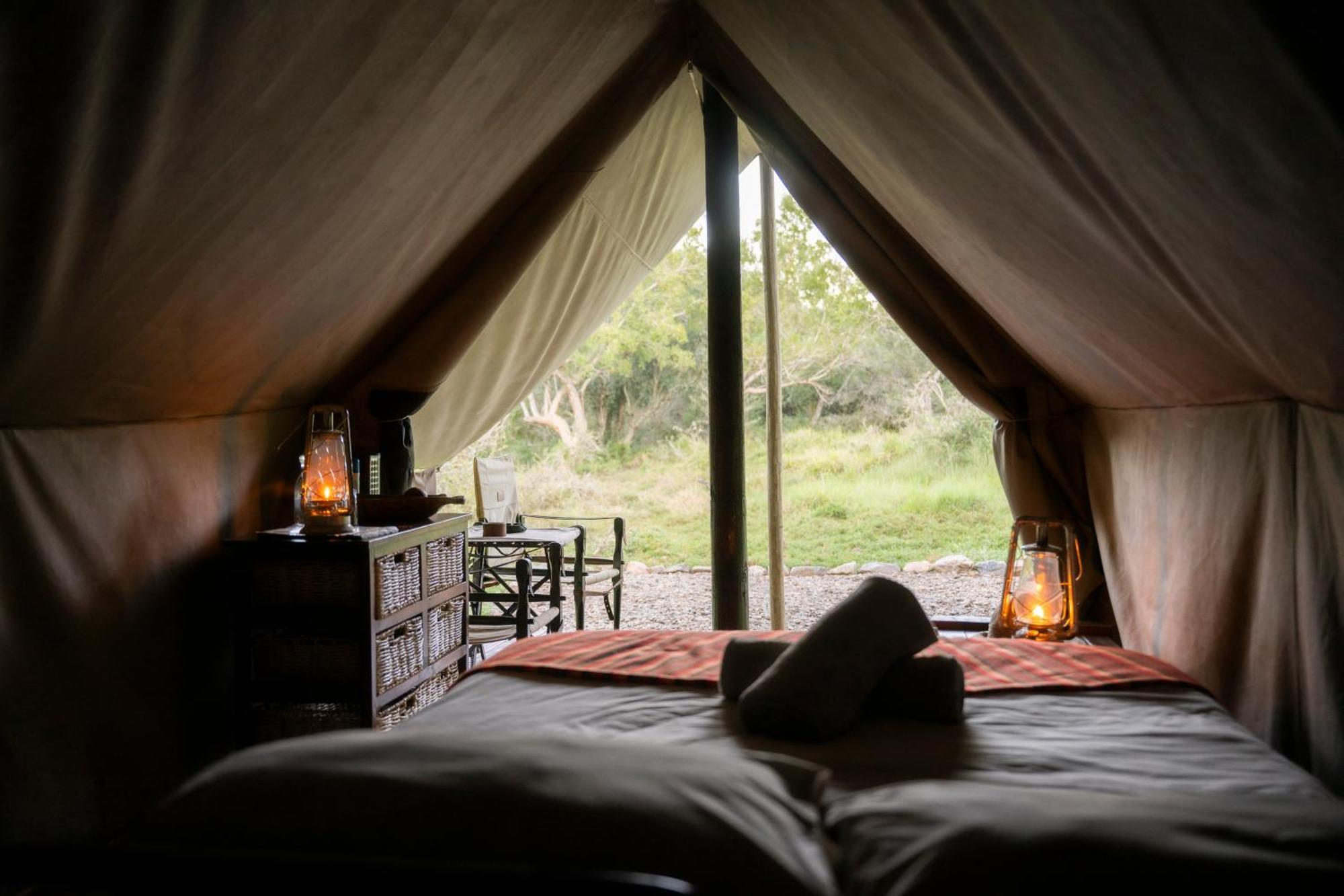 Quatermain's 1920's Safari Camp – Amakhala Game Reserve Bagian luar foto