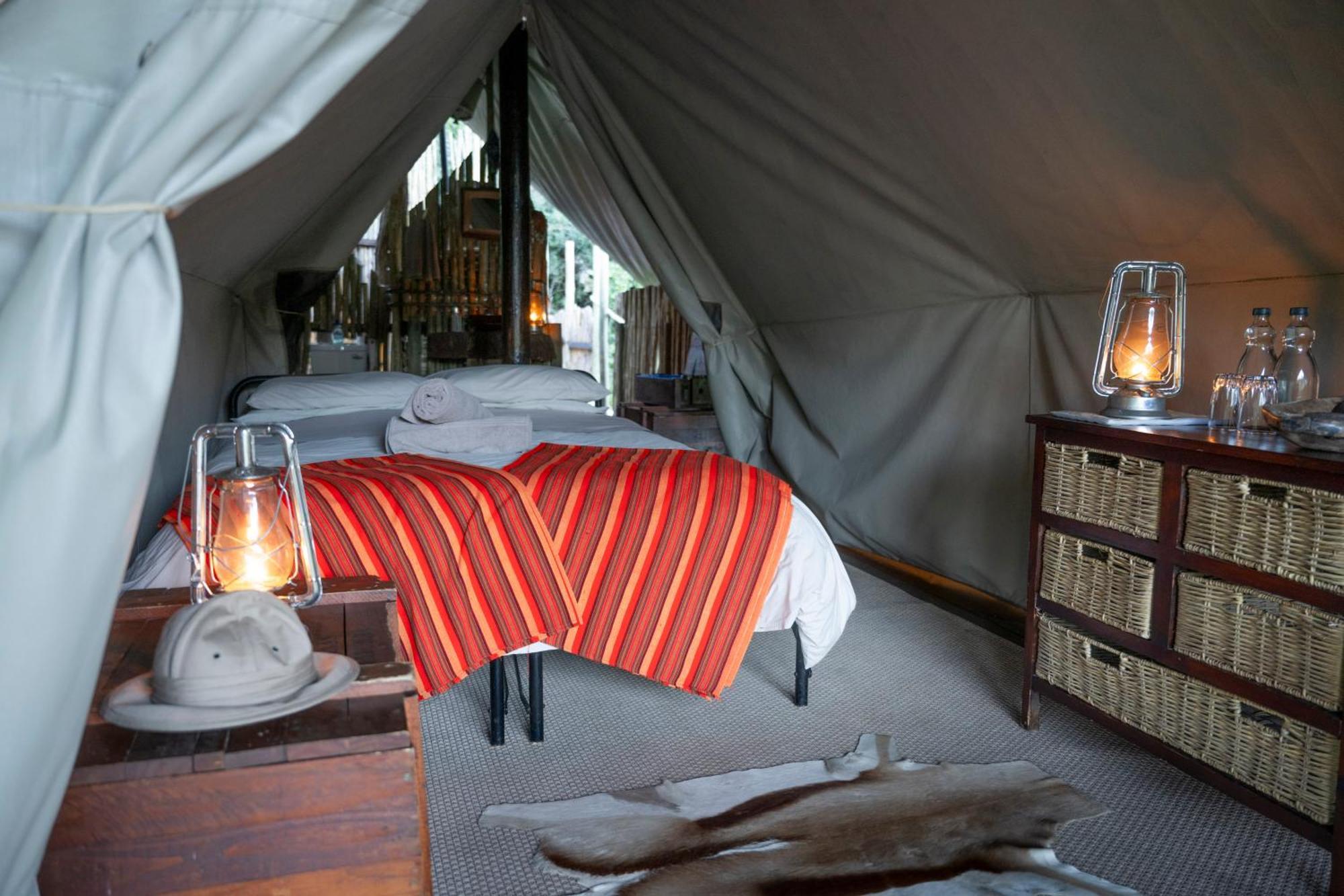 Quatermain's 1920's Safari Camp – Amakhala Game Reserve Bagian luar foto