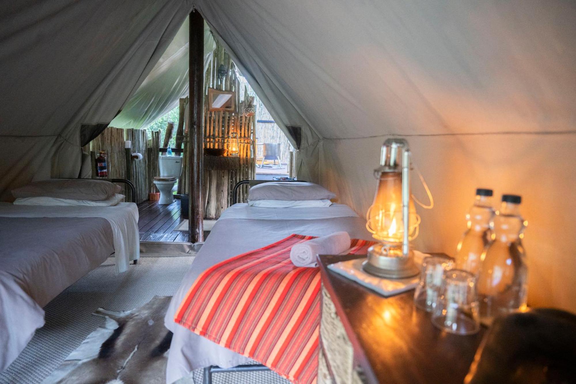 Quatermain's 1920's Safari Camp – Amakhala Game Reserve Bagian luar foto