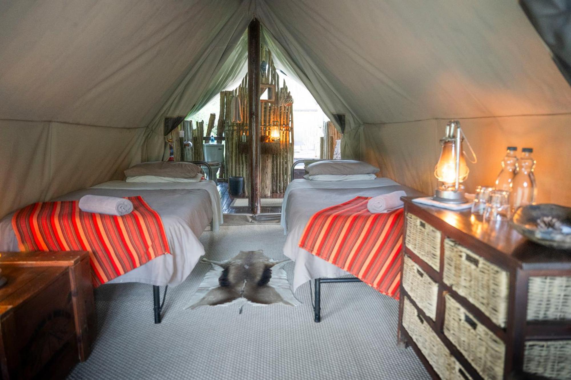 Quatermain's 1920's Safari Camp – Amakhala Game Reserve Bagian luar foto