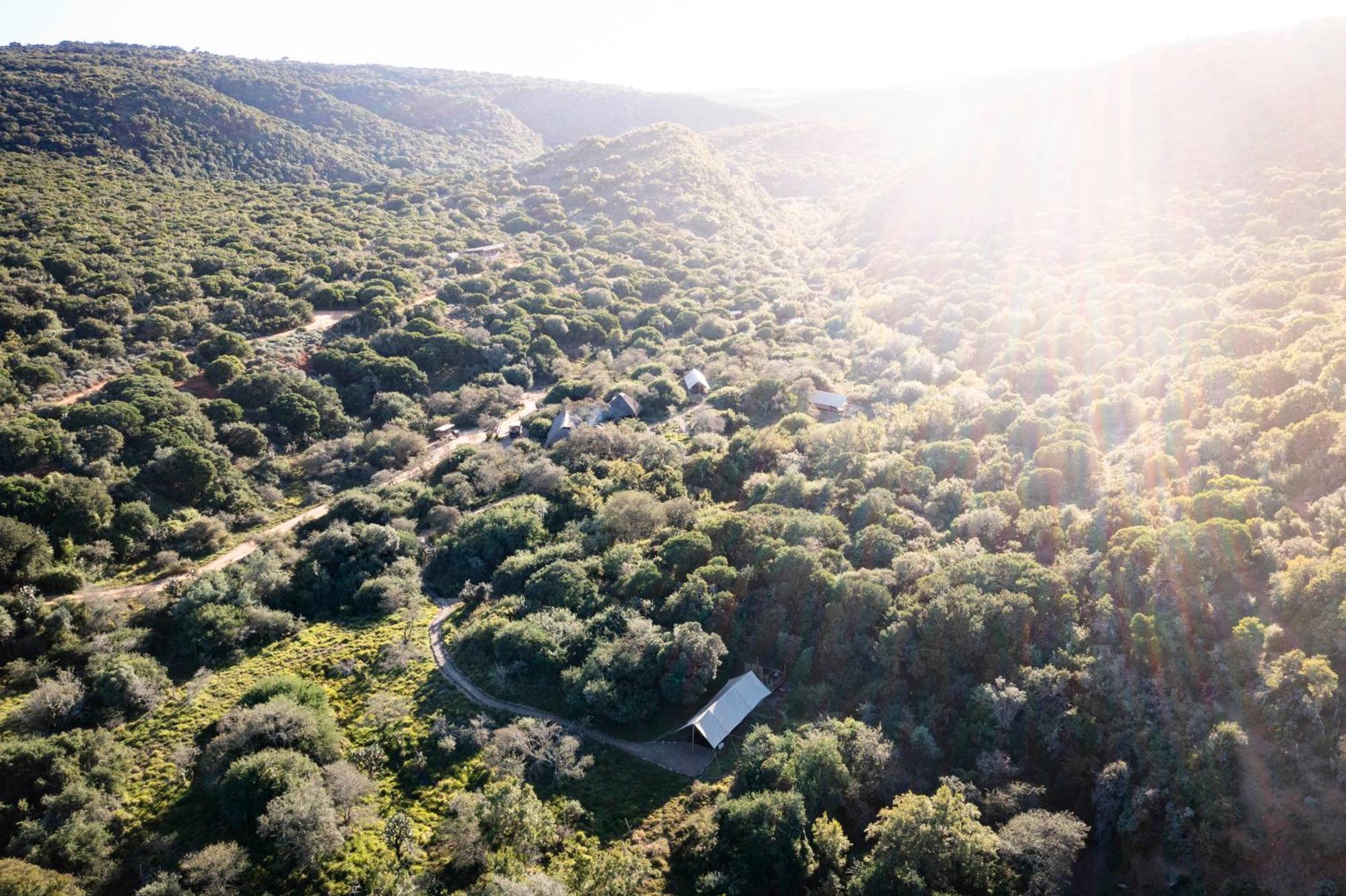 Quatermain's 1920's Safari Camp – Amakhala Game Reserve Bagian luar foto