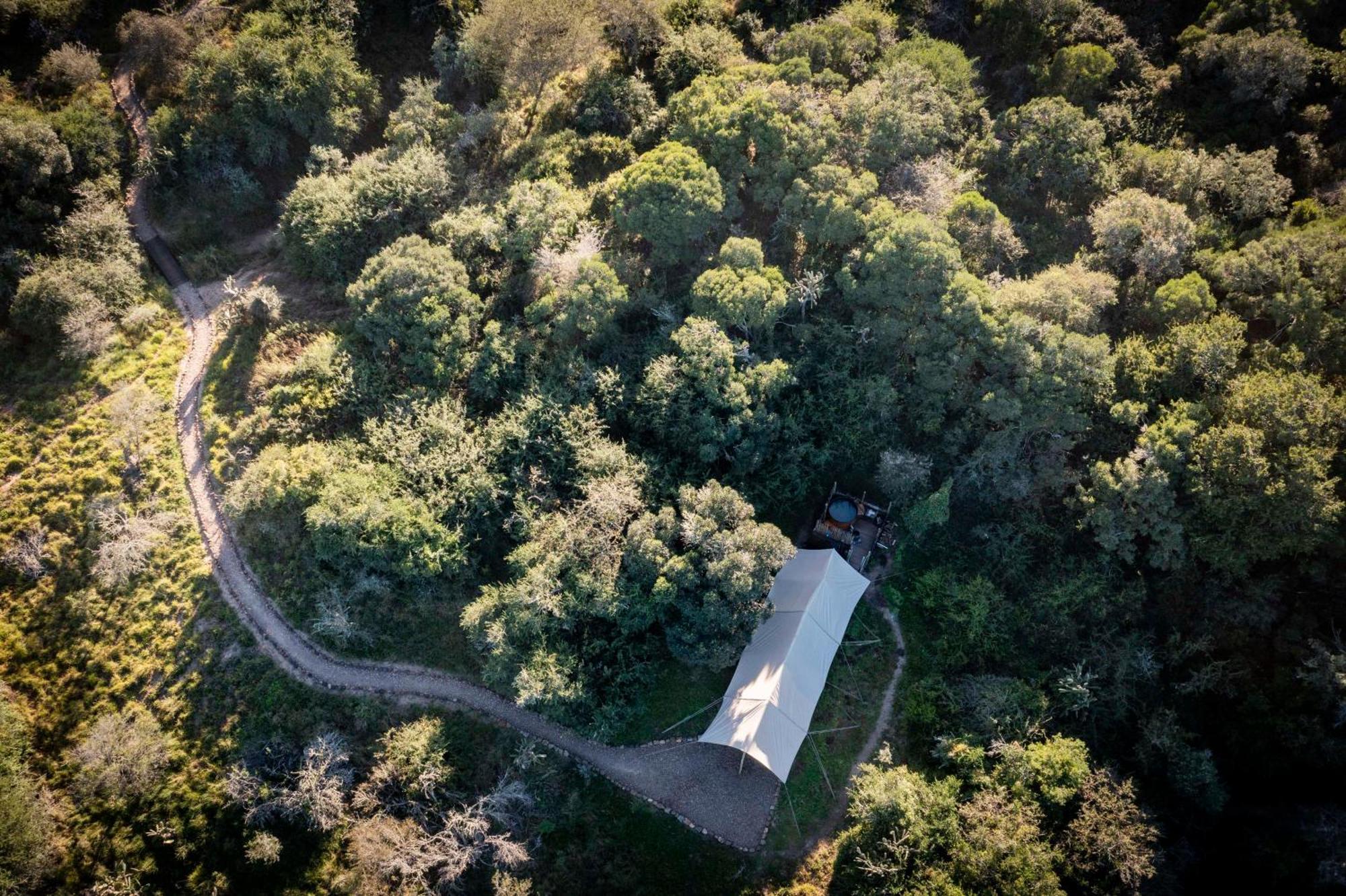 Quatermain's 1920's Safari Camp – Amakhala Game Reserve Bagian luar foto