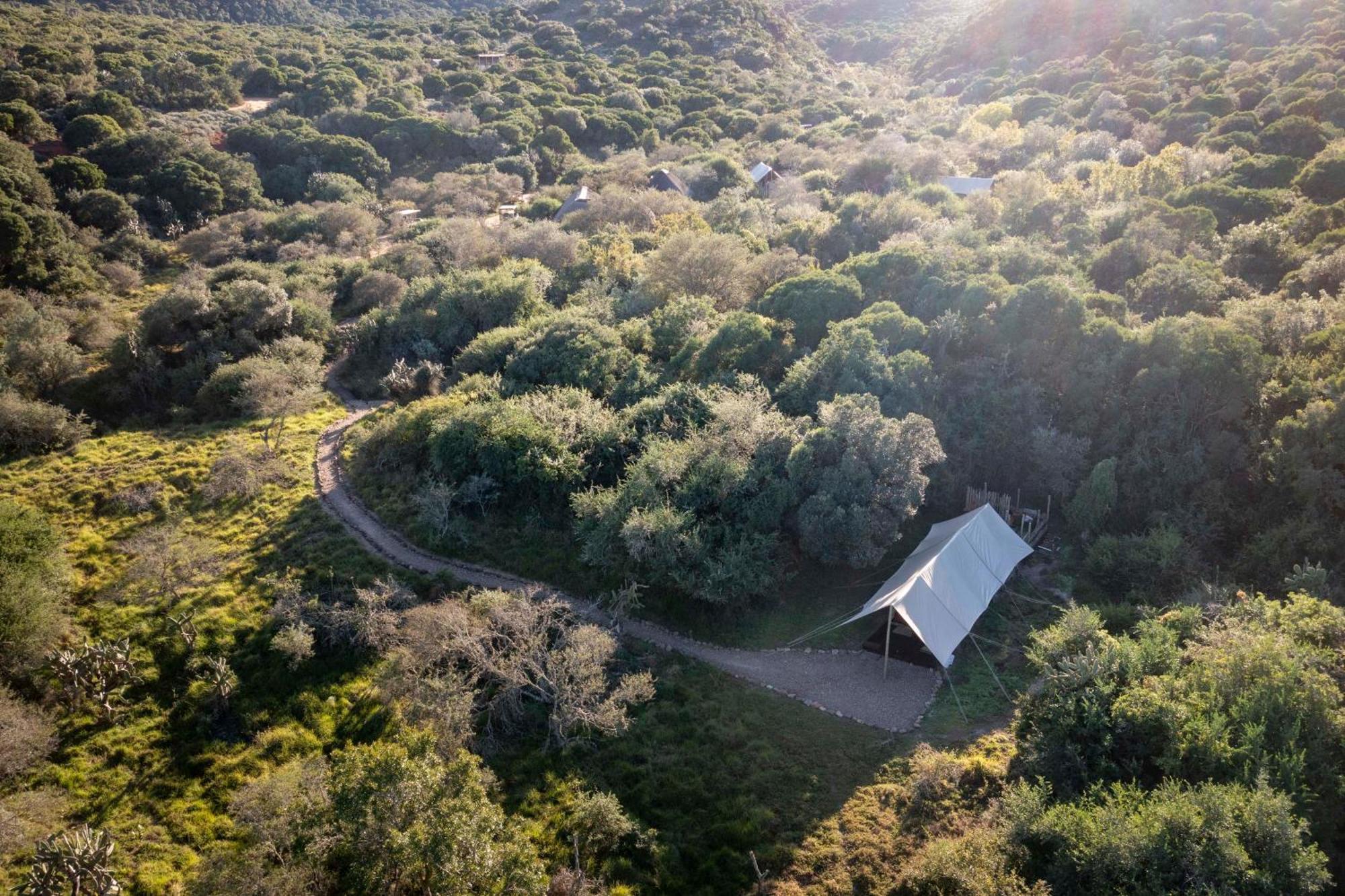 Quatermain's 1920's Safari Camp – Amakhala Game Reserve Bagian luar foto