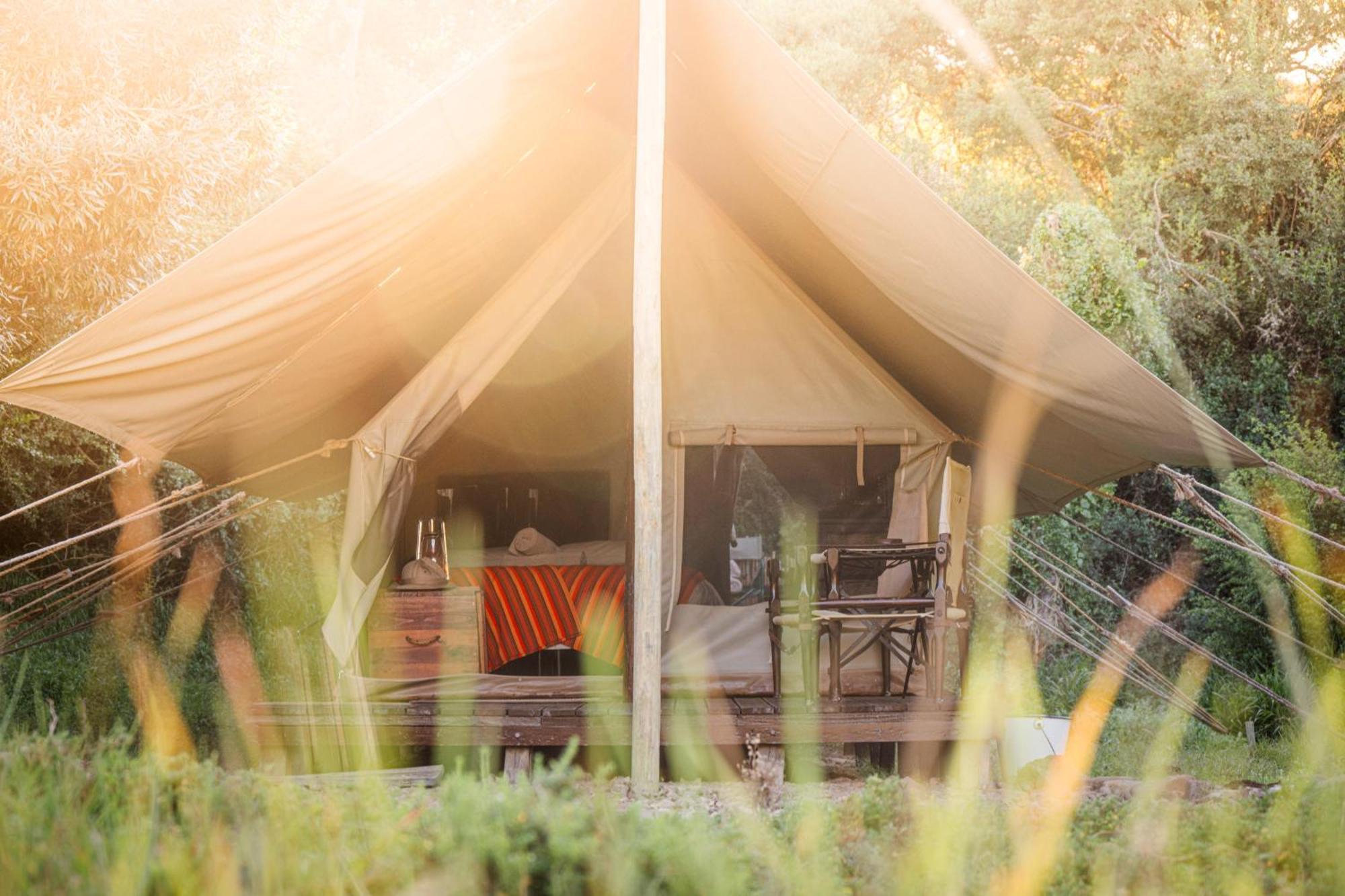 Quatermain's 1920's Safari Camp – Amakhala Game Reserve Bagian luar foto