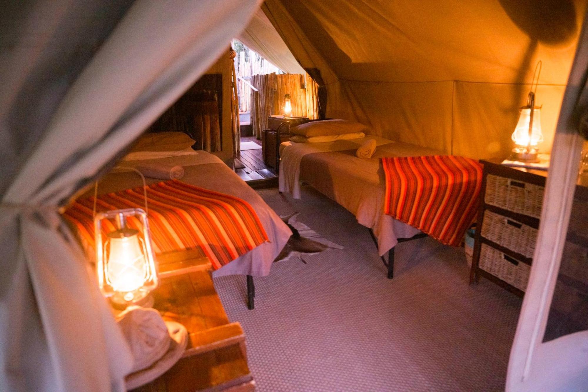 Quatermain's 1920's Safari Camp – Amakhala Game Reserve Bagian luar foto