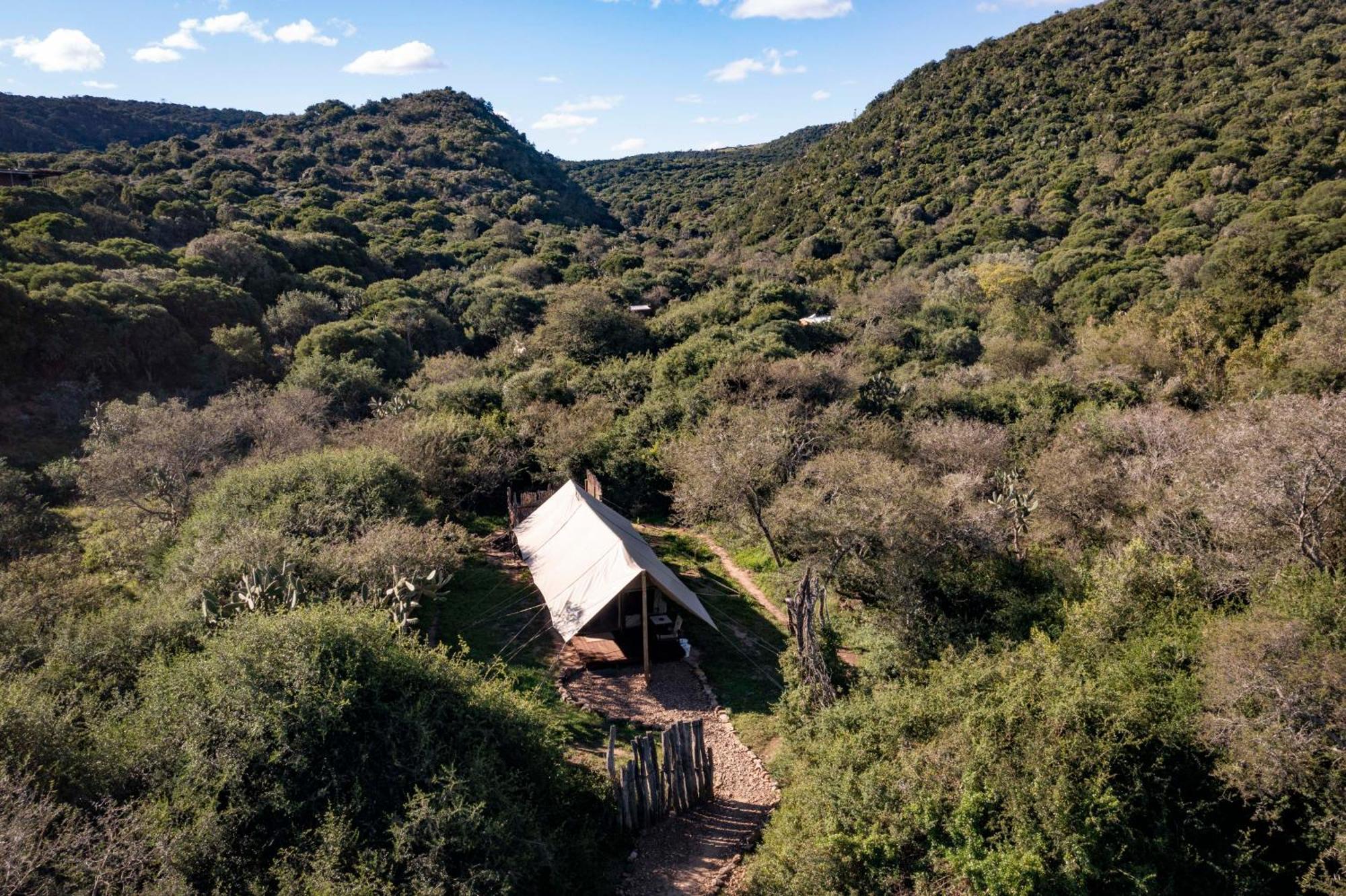 Quatermain's 1920's Safari Camp – Amakhala Game Reserve Bagian luar foto