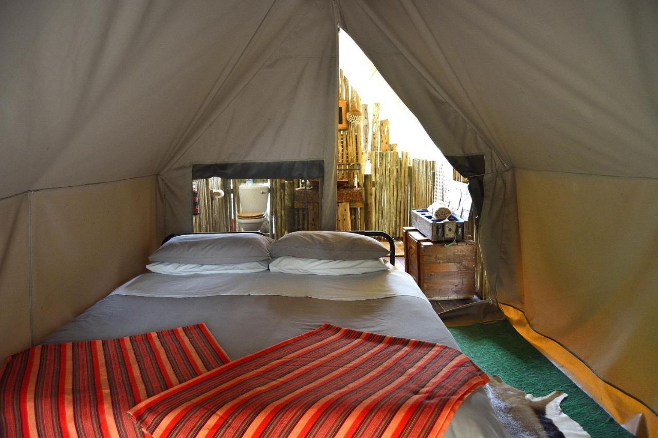 Quatermain's 1920's Safari Camp – Amakhala Game Reserve Bagian luar foto